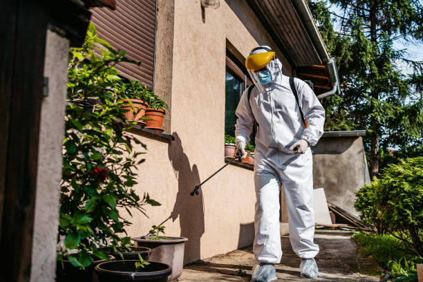 Pest Prevention Services in Rochester, IN